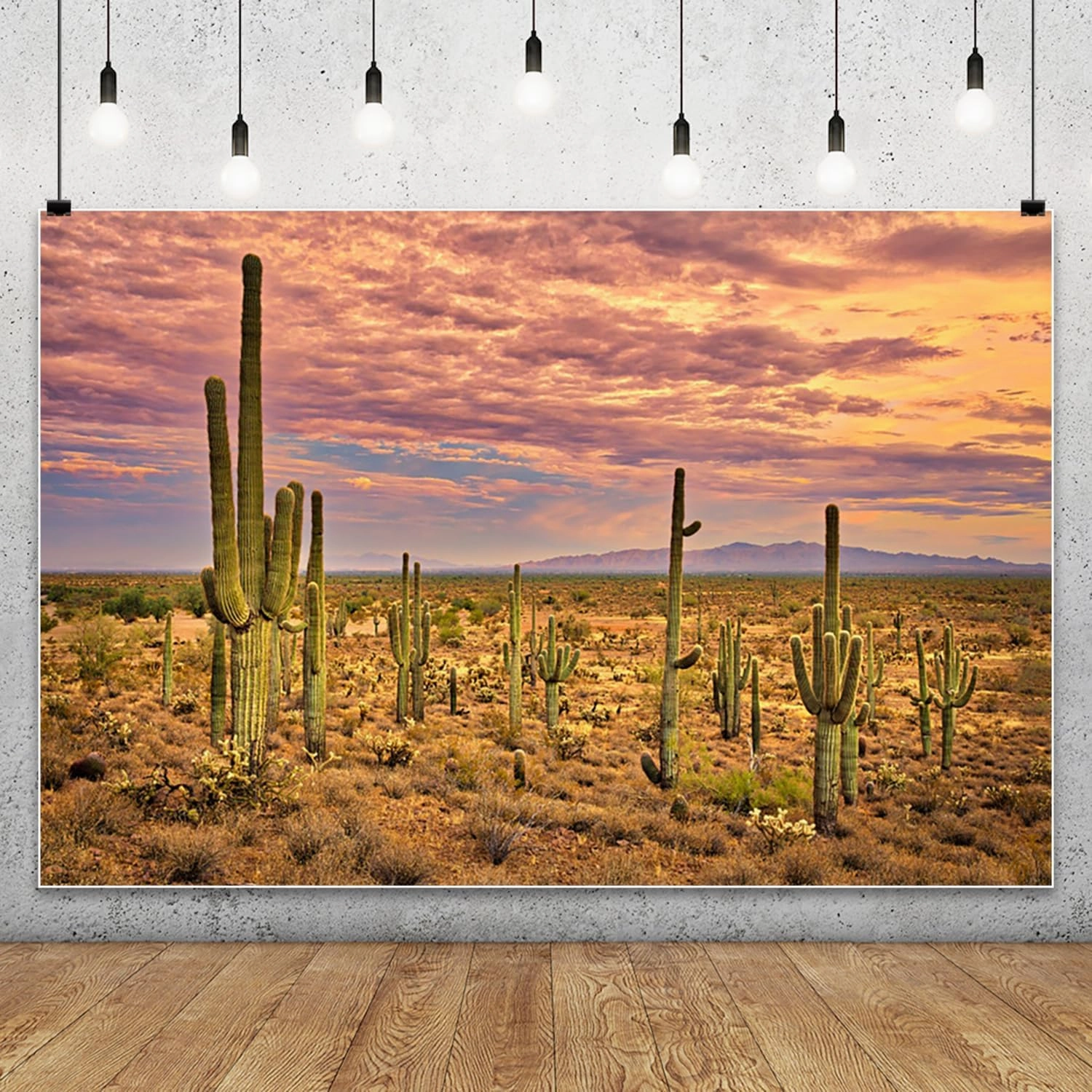 10x8ft Desert Backdrop Cactus Sunset Photography Background Desert Flatland Backdrop Desolate Desert Natural Scenery Landscape Background for Men Boys Photo Studio Portraits Props