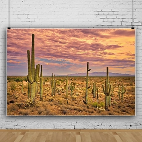 10x8ft Desert Backdrop Cactus Sunset Photography Background Desert Flatland Backdrop Desolate Desert Natural Scenery Landscape Background for Men Boys Photo Studio Portraits Props