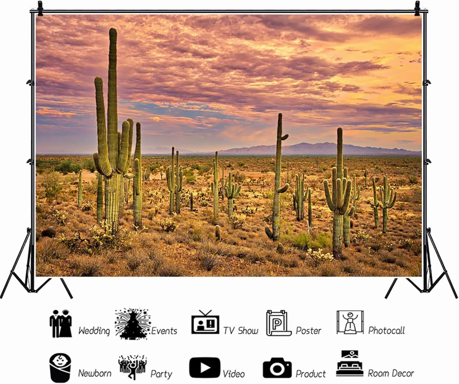10x8ft Desert Backdrop Cactus Sunset Photography Background Desert Flatland Backdrop Desolate Desert Natural Scenery Landscape Background for Men Boys Photo Studio Portraits Props
