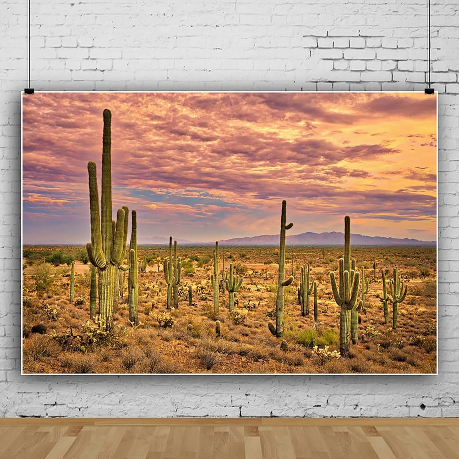 10x8ft Desert Backdrop Cactus Sunset Photography Background Desert Flatland Backdrop Desolate Desert Natural Scenery Landscape Background for Men Boys Photo Studio Portraits Props