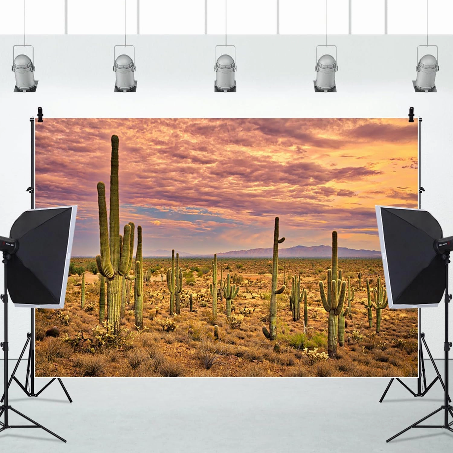 10x8ft Desert Backdrop Cactus Sunset Photography Background Desert Flatland Backdrop Desolate Desert Natural Scenery Landscape Background for Men Boys Photo Studio Portraits Props