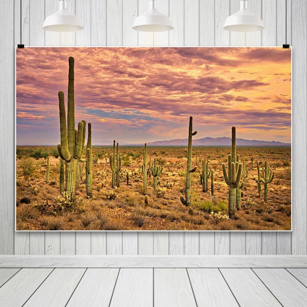 10x8ft Desert Backdrop Cactus Sunset Photography Background Desert Flatland Backdrop Desolate Desert Natural Scenery Landscape Background for Men Boys Photo Studio Portraits Props