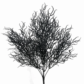 21" Cottonii Seaweed Bush: Black (5 Stem) - 57097BK
