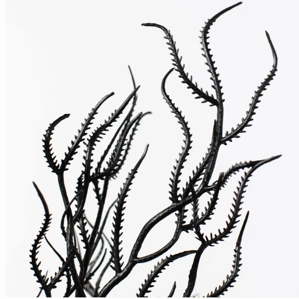21" Cottonii Seaweed Bush: Black (5 Stem) - 57097BK
