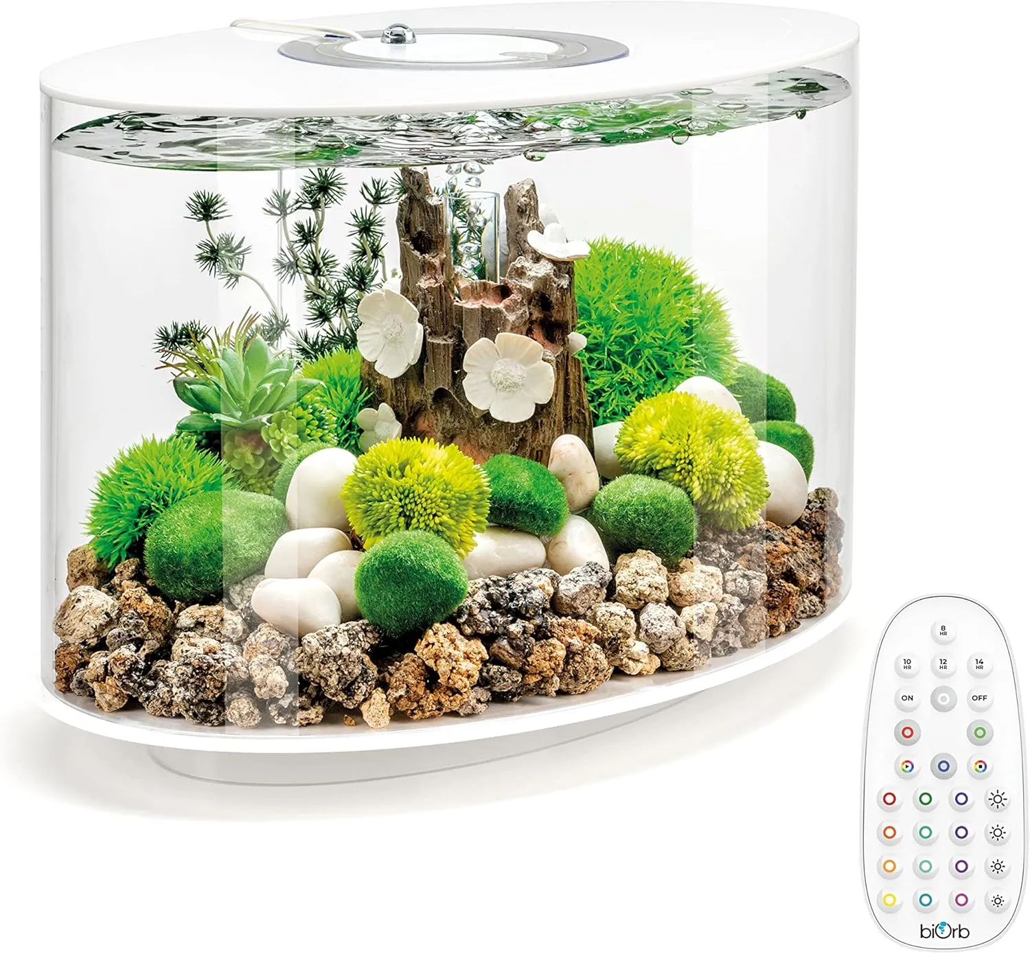 biOrb Loop 15 Acrylic 4-Gallon Aquarium with Multi-Color Remote-Controlled LED Lights Modern Compact Tank for Tabletop or Desktop Display, White-Trimmed Tank