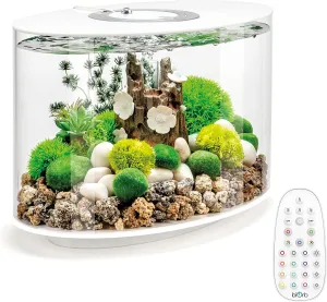biOrb Loop 15 Acrylic 4-Gallon Aquarium with Multi-Color Remote-Controlled LED Lights Modern Compact Tank for Tabletop or Desktop Display, White-Trimmed Tank