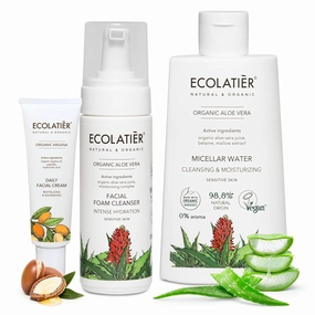 Facial Foam Cleanser, Micellar Water & Night Facial Cream Bundle - Organic Aloe Vera & Argana - Hydrating, Nourishing & Anti-Aging Skincare Set, Vegan