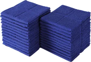 Glynniss Kitchen Dish Cloths Highly Absorbent Dish Rags 100% Cotton Wash Cloths for Washing Dishes (Blue, 24)