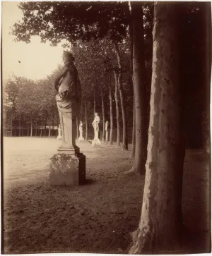 Historic Pictoric Photo Print : Peter Henry Emerson - Setting The Bownet : Vintage Wall Décor : 24in x 14in