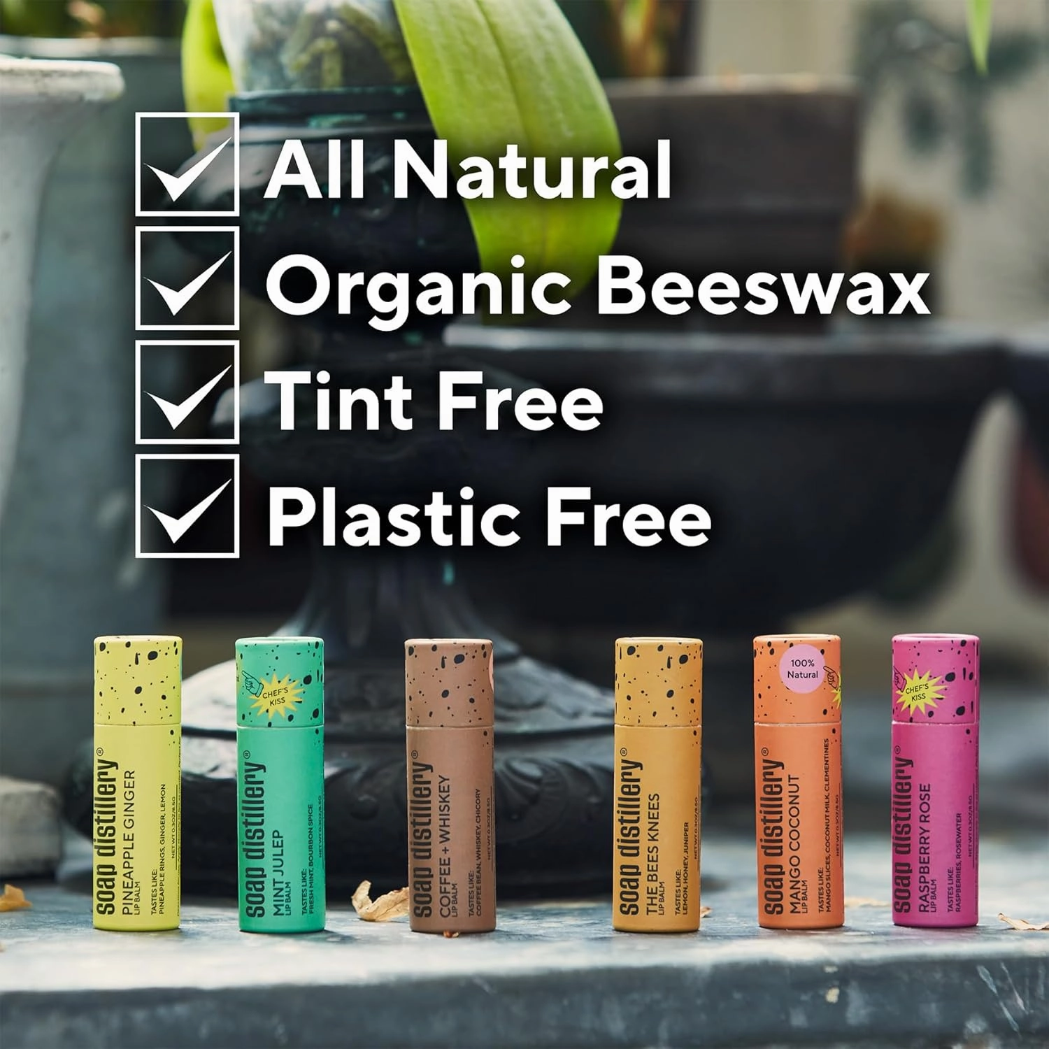 Lip Balm Two Pack - Organic Beeswax - Plastic Free Tube (Raspberry Rose)