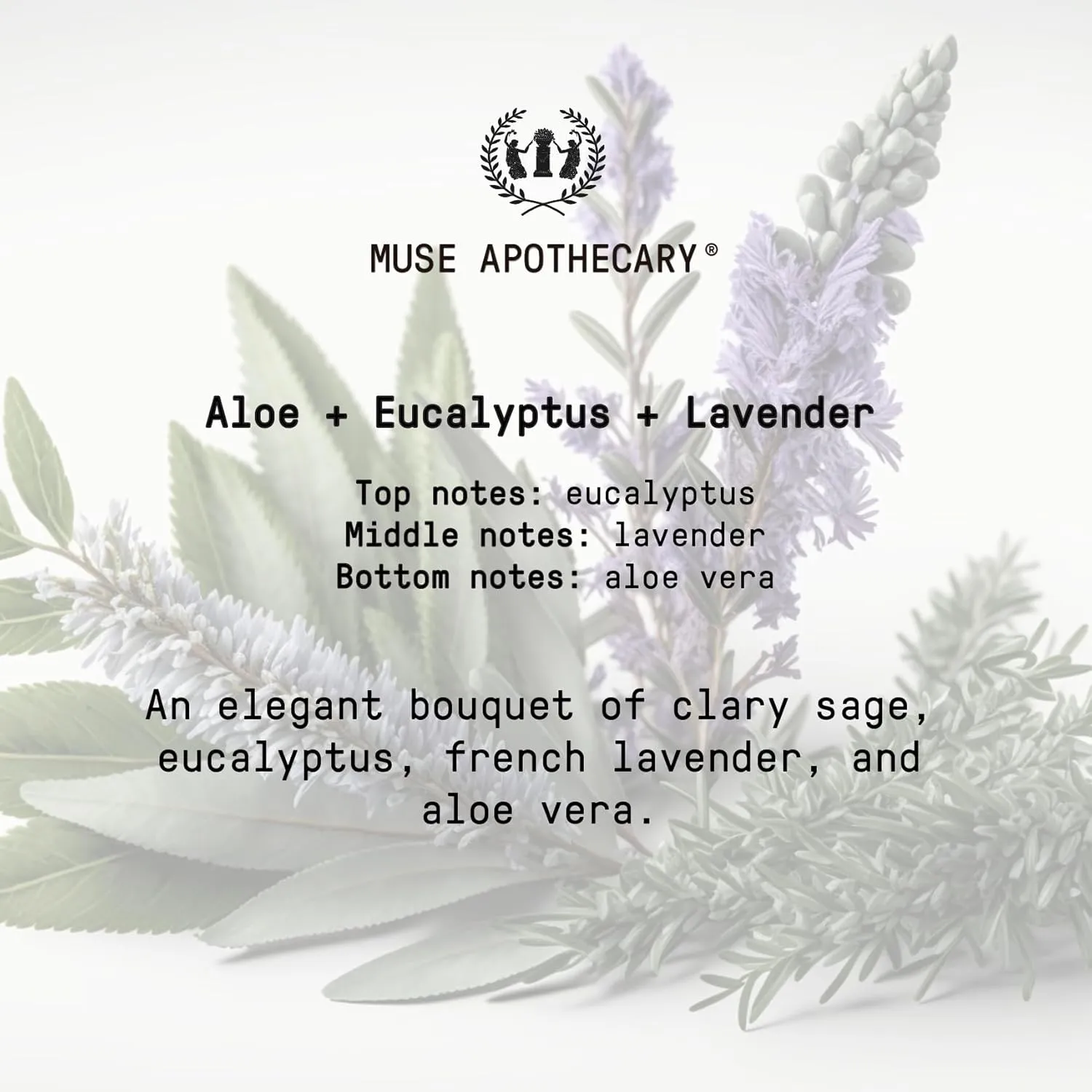 Muse Apothecary Hand Ritual - Aromatic and Nourishing Foaming Hand Soap, Infused with Natural Aromatherapy Essential Oils - USDA Certified Biobased - 11.5 oz, Aloe   Eucalyptus   Lavender, 2 Pack