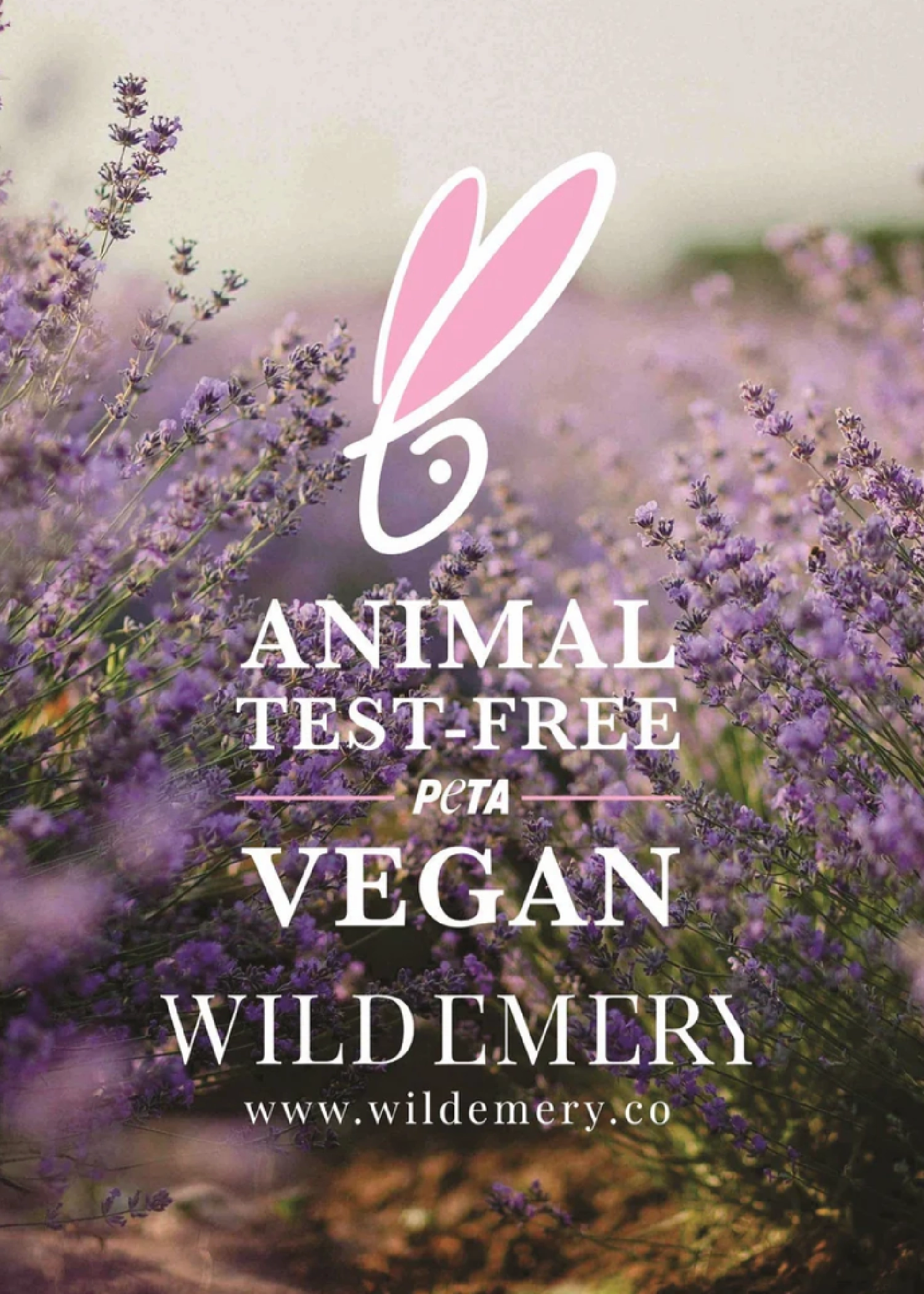 NATURAL LIP BALM - RASPBERRY & ROSEHIP