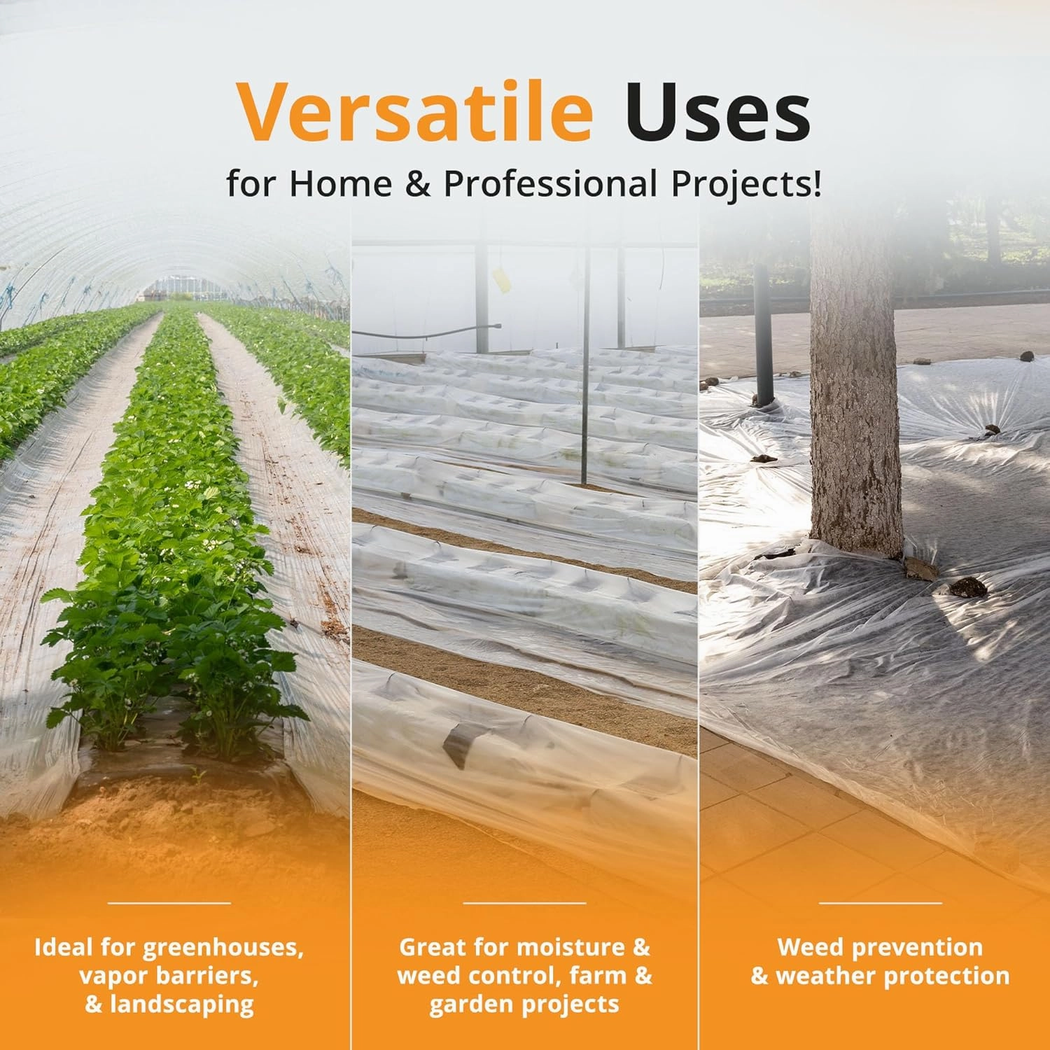 PRIMAX 6 mil Plastic Sheeting (10'x25') – Waterproof, UV Resistant, Heavy Duty Thick Plastic Sheeting Roll for Greenhouse, Farm, Agriculture, Gardening, Construction, Vapor Barrier Covering, Clear