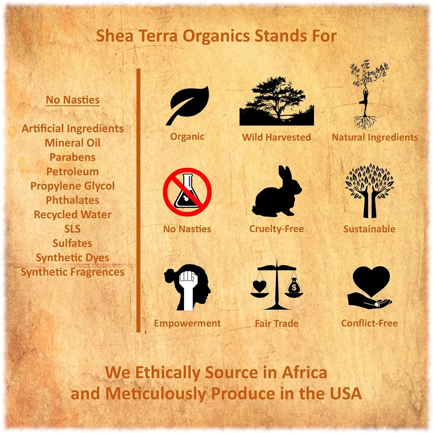 Shea Terra Kigelia Carrot Seed & Jojoba Deep Cleansing Oil – Combines Natural, Nourishing Skin Care Oils to Feed Skin, While Providing a Deep Pore Face Cleanse without Drying Out Skin – 4 oz