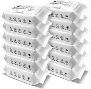 WBM Beauty Flushable Wipes for Women, Deep Clean Impurities, Hydrate & Purify Skin, Fragrance-Free, Makeup Remover, 25 Sheets (Pack of 12)